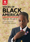 Voices of Black America: Mlk, Jr. to Jay-Z By Lightning Guides Cover Image