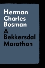 A Bekkersdal Marathon Cover Image
