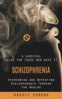 Schizophrenia: A Survival Guide for Those Who Have It (Overcoming and Defeating Schizophrenia Through the Healer) By Bradly Dumond Cover Image