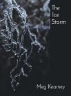 The Ice Storm By Meg Kearney Cover Image