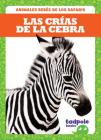 Las Crias de la Cebra (Zebra Foals) By Genevieve Nilsen Cover Image