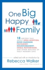 One Big Happy Family: 18 Writers Talk About Open Adoption, Mixed Marriage, Polyamory, Househusbandry, Single Motherhood, and Other Realities of Truly Modern Love By Rebecca Walker Cover Image