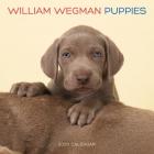 William Wegman Puppies 2020 Wall Calendar By William Wegman Cover Image