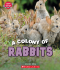 A Colony of Rabbits (Learn About: Animals) Cover Image