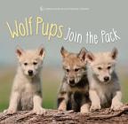 Wolf Pups Join the Pack (First Discoveries) Cover Image