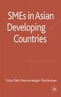 SMEs in Asian Developing Countries By Tulus Tahi Hamonangan Tambunan Cover Image
