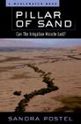 Pillar of Sand: Can the Irrigation Miracle Last? By Sandra Postel Cover Image