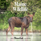 2024 Maine Wildlife Wall Calendar By Down East Magazine Cover Image