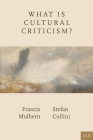 What Is Cultural Criticism? By Francis Mulhern, Stefan Collini Cover Image