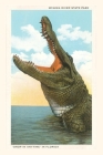 Vintage Journal Gaping Alligator, Myakka State Park, Florida By Found Image Press (Producer) Cover Image