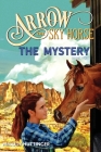 Arrow the Sky Horse: The Mystery Cover Image