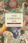 The Luminous Sea By Melissa Barbeau Cover Image