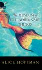 The Museum of Extraordinary Things Cover Image