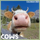 Cows Calendar 2021: Official Cows Calendar 2021, 12 Months By Digi Artislap Cover Image