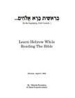 Learn Hebrew While Reading The Bible By Malcolm Rosenberg, Daniel Reynolds, Daniel Reynolds (Editor) Cover Image
