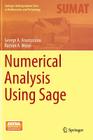 Numerical Analysis Using Sage (Springer Undergraduate Texts in Mathematics and Technology) By George A. Anastassiou, Razvan A. Mezei Cover Image