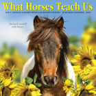 What Horses Teach Us 2025 12 X 12 Wall Calendar Cover Image