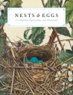 Nests and Eggs Notecards By Joy M. Kiser Cover Image