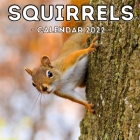Squirrels Calendar 2022: 16-Month Calendar, Cute Gift Idea For Squirrel Lovers Women & Men By Clever Garage Press Cover Image