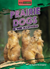 Prairie Dogs in Their Ecosystems By Sophie Christopher Cover Image