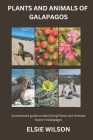 Plants and Animals of Galapagos: Guide to Flora and Fauna found in Galapagos Cover Image
