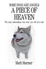 Some Dogs Are Angels: A Piece Of Heaven By Mark Starmer Cover Image