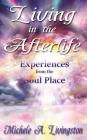 Living in the Afterlife - Experiences from the Soul Place By Michele A. Livingston Cover Image