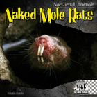 Naked Mole Rats (Nocturnal Animals) By Kristin Petrie Cover Image