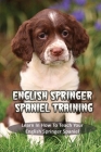 English Springer Spaniel Training: Learn In How To Teach Your English Springer Spaniel: How To Train A English Springer Spaniel To Behave By Vanita Diskind Cover Image
