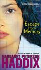 Escape from Memory Cover Image