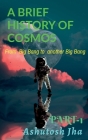 A Brief History of Cosmos: From Big Bang to another Big Bang Cover Image