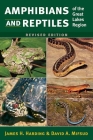 Amphibians and Reptiles of the Great Lakes Region, Revised Ed. (Great Lakes Environment) By James H. Harding, David A. Mifsud Cover Image