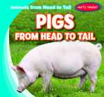 Pigs from Head to Tail (Animals from Head to Tail) By Emmett Martin Cover Image