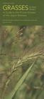 Grasses in Your Pocket: A Guide to the Prairie Grasses of the Upper Midwest (Bur Oak Guide) Cover Image