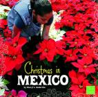 Christmas in Mexico (Christmas Around the World) By Cheryl L. Enderlein Cover Image