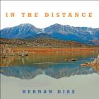 In the Distance Cover Image