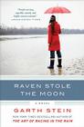 Raven Stole the Moon: A Novel By Garth Stein Cover Image