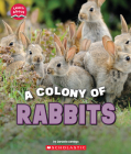 A Colony of Rabbits (Learn About: Animals) By Danielle Denega Cover Image