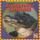 Alligators / Caimanes By Kathleen Pohl Cover Image