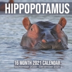 Hippopotamus 16 Month 2021 Calendar September 2020-December 2021: Hippo Square Photo Book Monthly Pages 8.5 x 8.5 Inch Cover Image