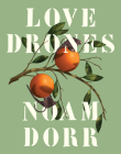 Love Drones By Noam Dorr Cover Image