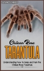 Chilean rose TARANTULA: Understanding how to keep and train the Chilean Rose Tarantula. By Susan Schmidt Cover Image