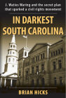 In Darkest South Carolina By Brian Hicks Cover Image