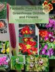 Big Kids Coloring Book: Fantastic Flora and Fauna: Volume Six - Greenhouse Orchids and Flowers By Dawn D. Boyer Ph. D. Cover Image