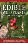 Edible Wild Plants of Eastern North America By Merritt L. Fernald, Alfred C. Kinsey, Steve W. Chadde Cover Image