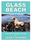 Glass Beach: A Field Survey / Fort Bragg, California By James Marino Cover Image
