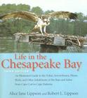 Life in the Chesapeake Bay By Alice Jane Lippson, Robert L. Lippson Cover Image