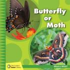 Butterfly or Moth Cover Image