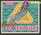 Beware the Box Jellyfish! By Howard Phillips Cover Image