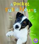 A Pocket Full of Nouns (Words I Know) By Bette Blaisdell Cover Image